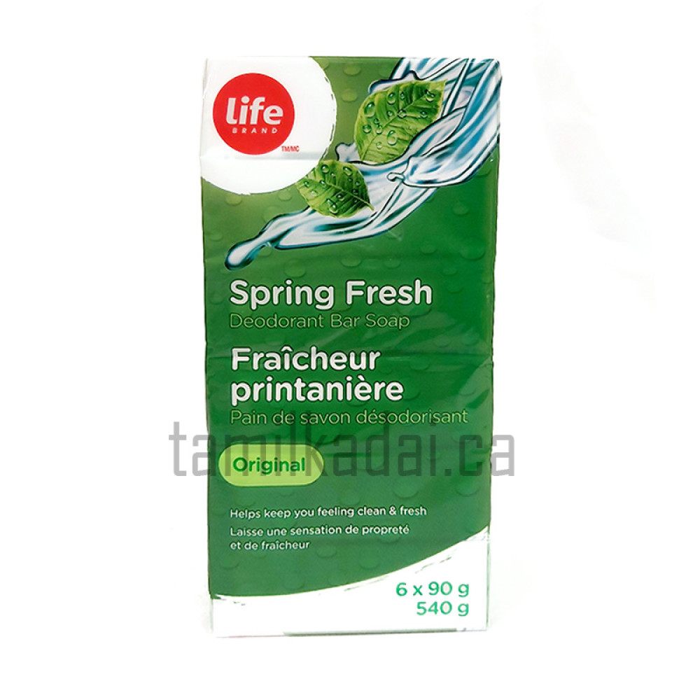 Spring Fresh Deodorant Bar Soap (540 g) - LIFE BRAND