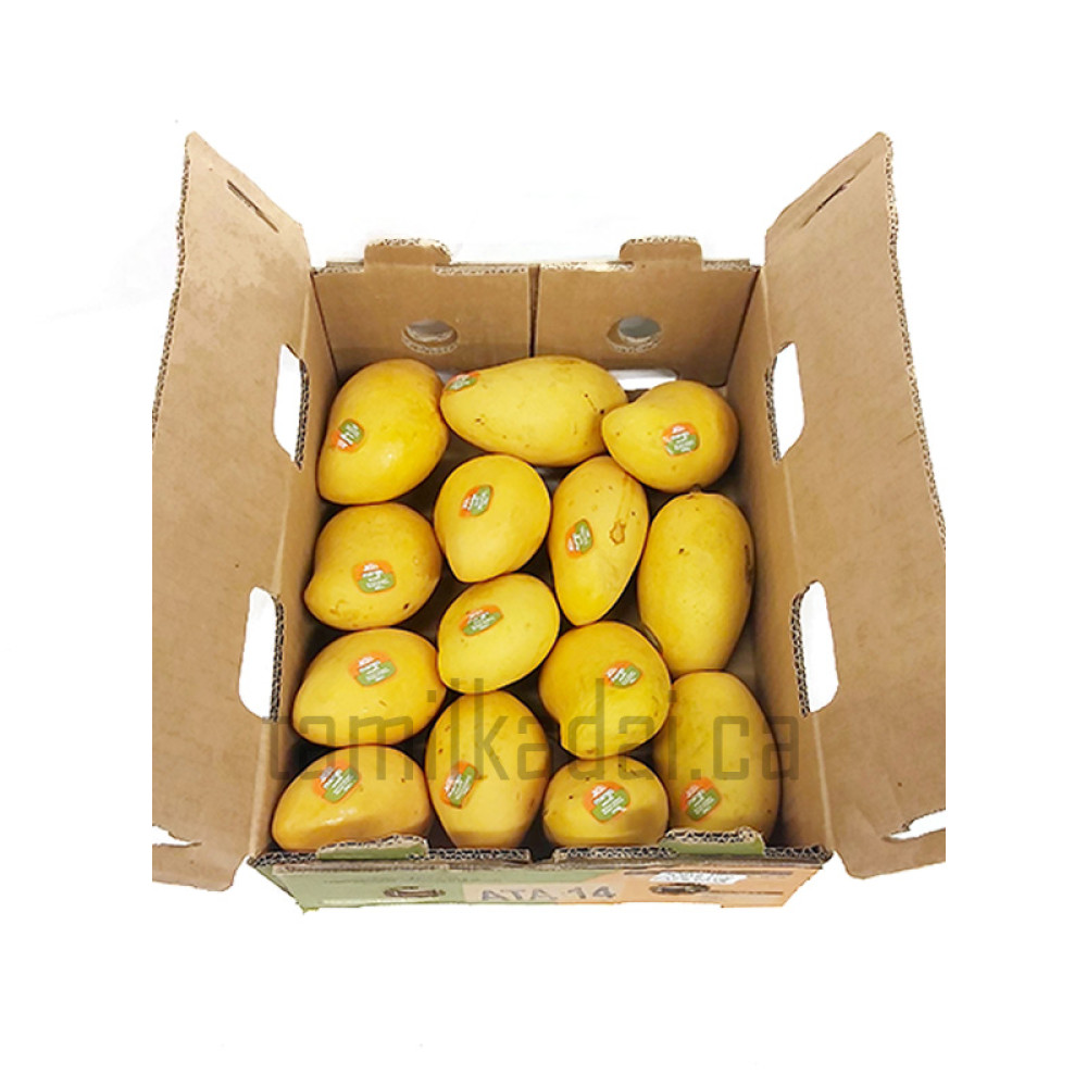 Mango Fruit (14 in Box) - மாம்பழ பெட்டி