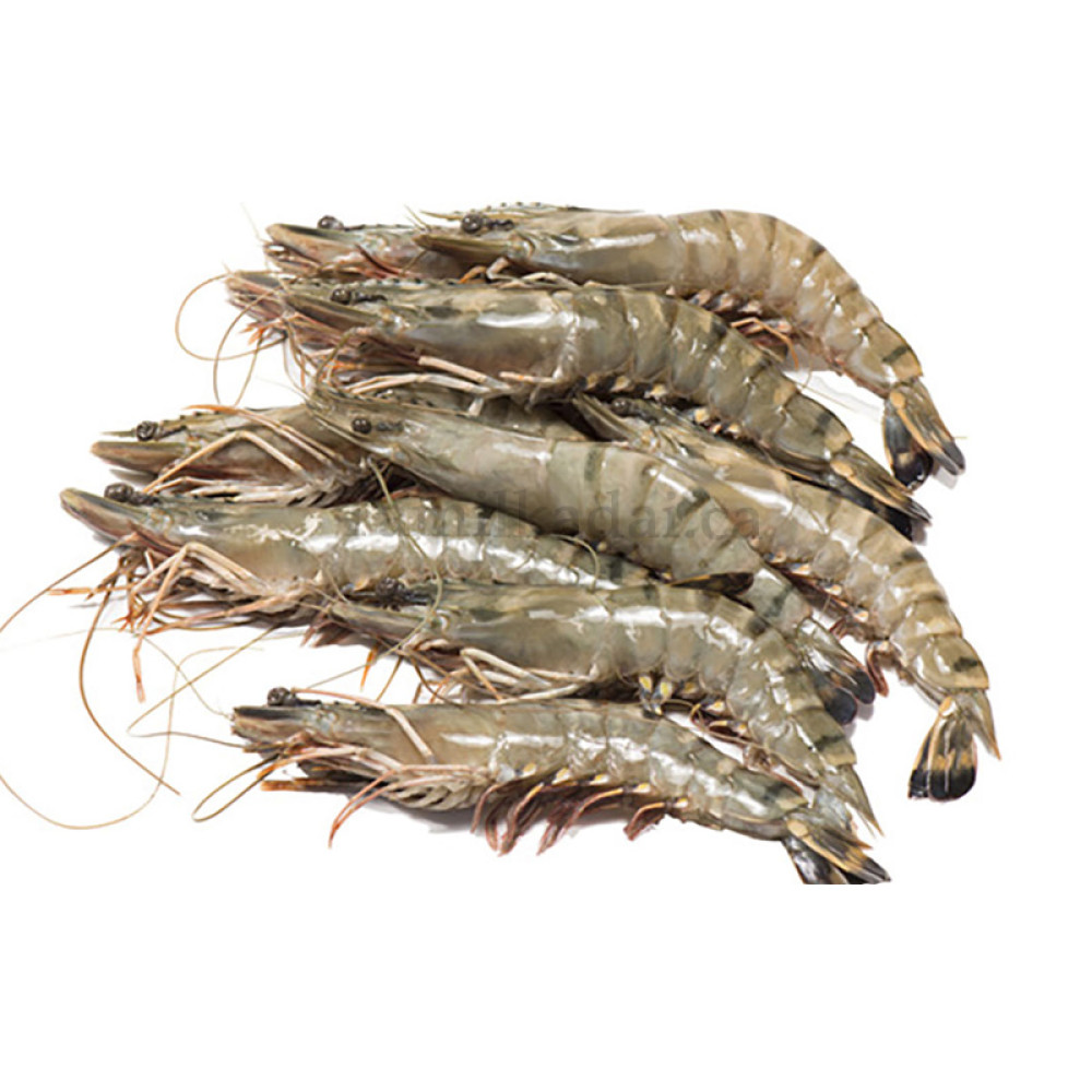 Shrimp Fresh (1 Lb) - இறால்