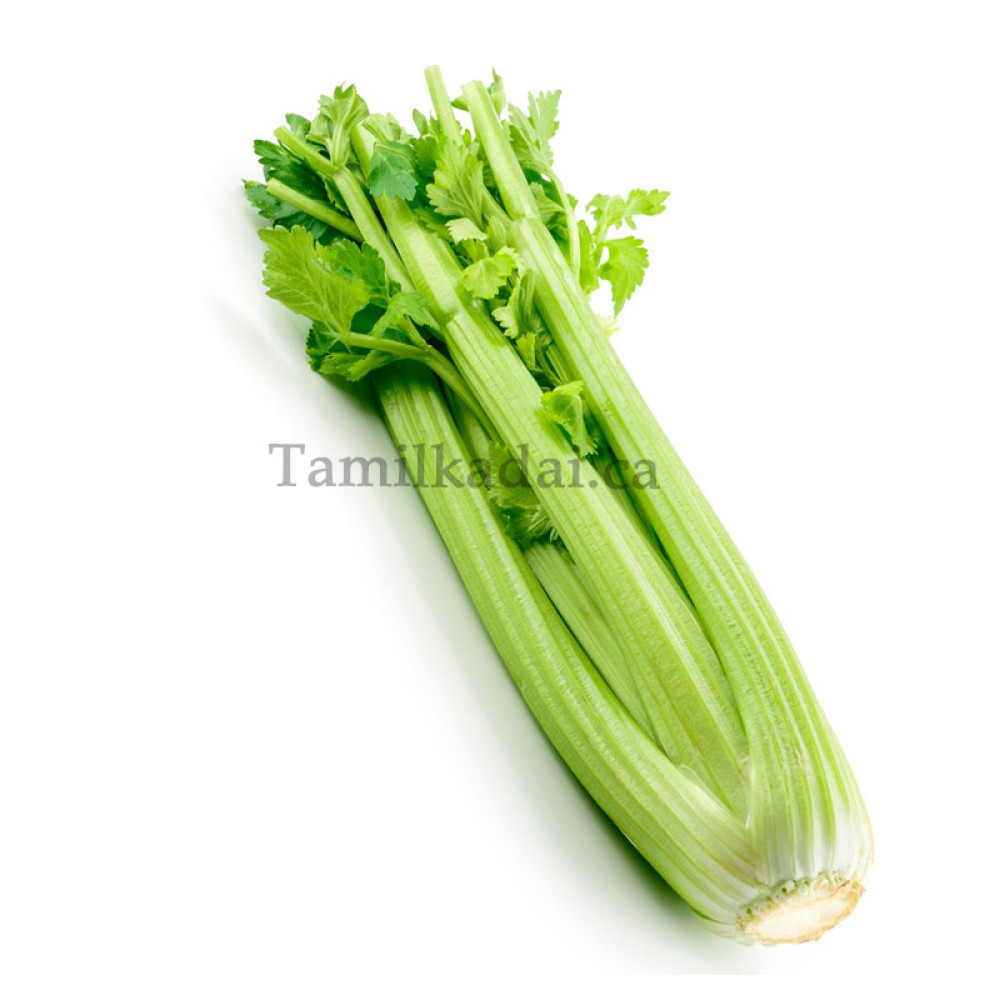 Celery