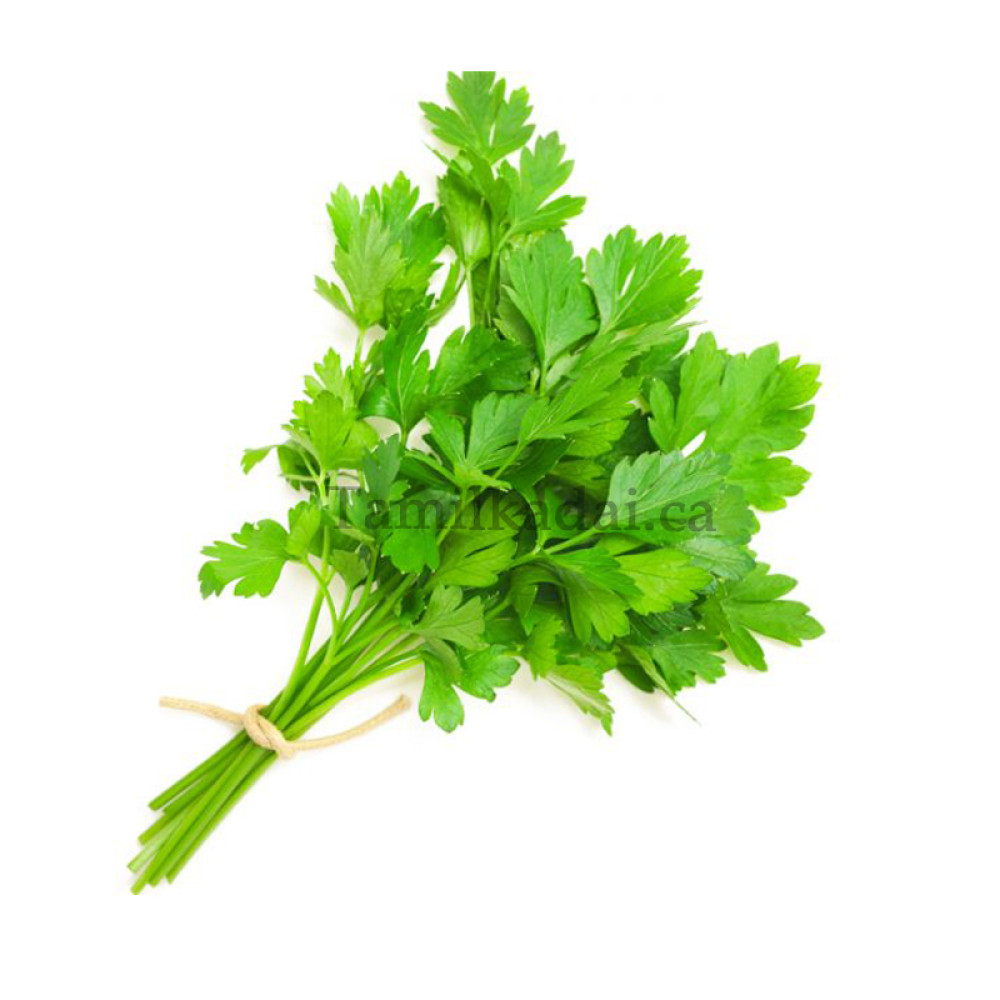 Coriander Leafs - மல்லி இலை