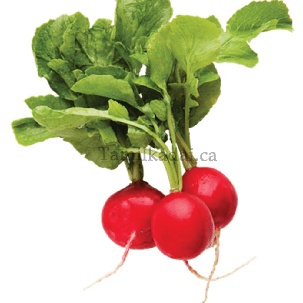 Fresh Red Radishes (1 lb) - சிவப்பு முள்ளங்கி 