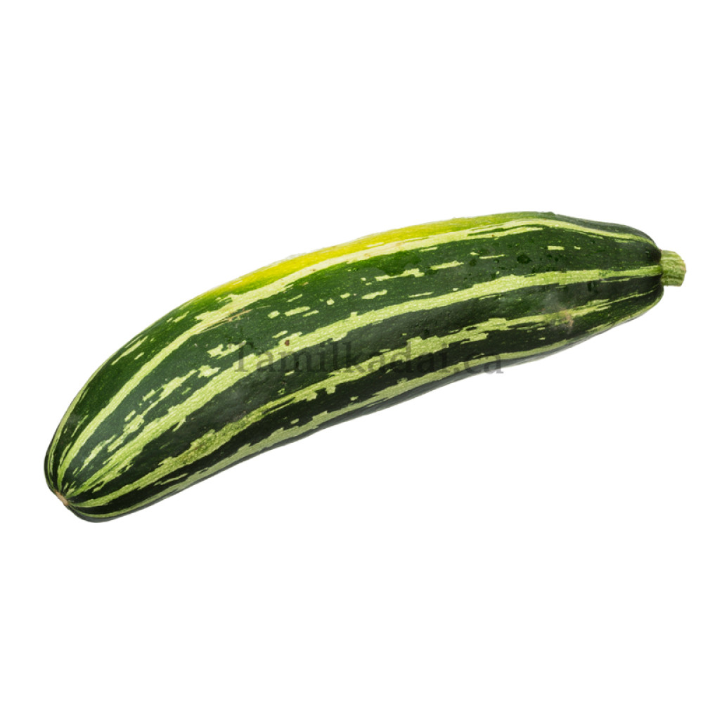 Zucchini (Each)