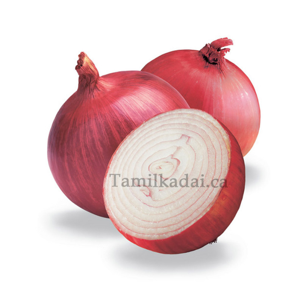 RED Onion (10Lb Bag) - சிவப்பு வெங்காயம்