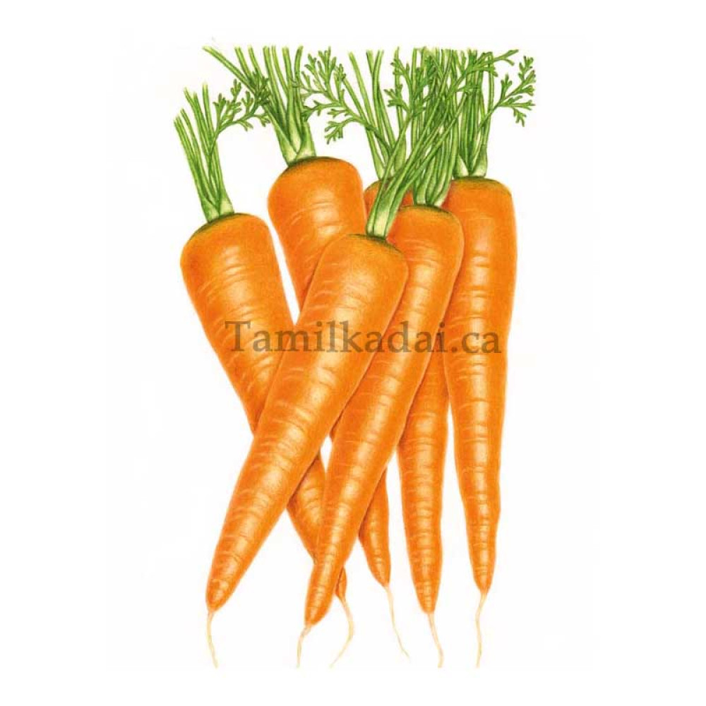 Carrot bag  (2 Lb Bag) - கரட் 