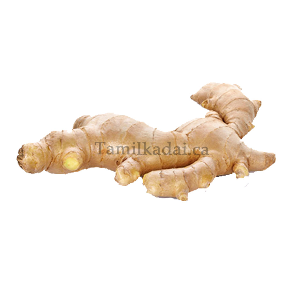 Organic Ginger (1 LB) - ஆர்கானிக் இஞ்சி